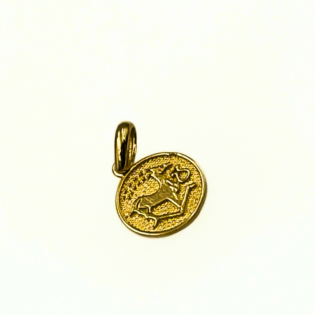 ZODIAC / BURÇ KOLYE UCU